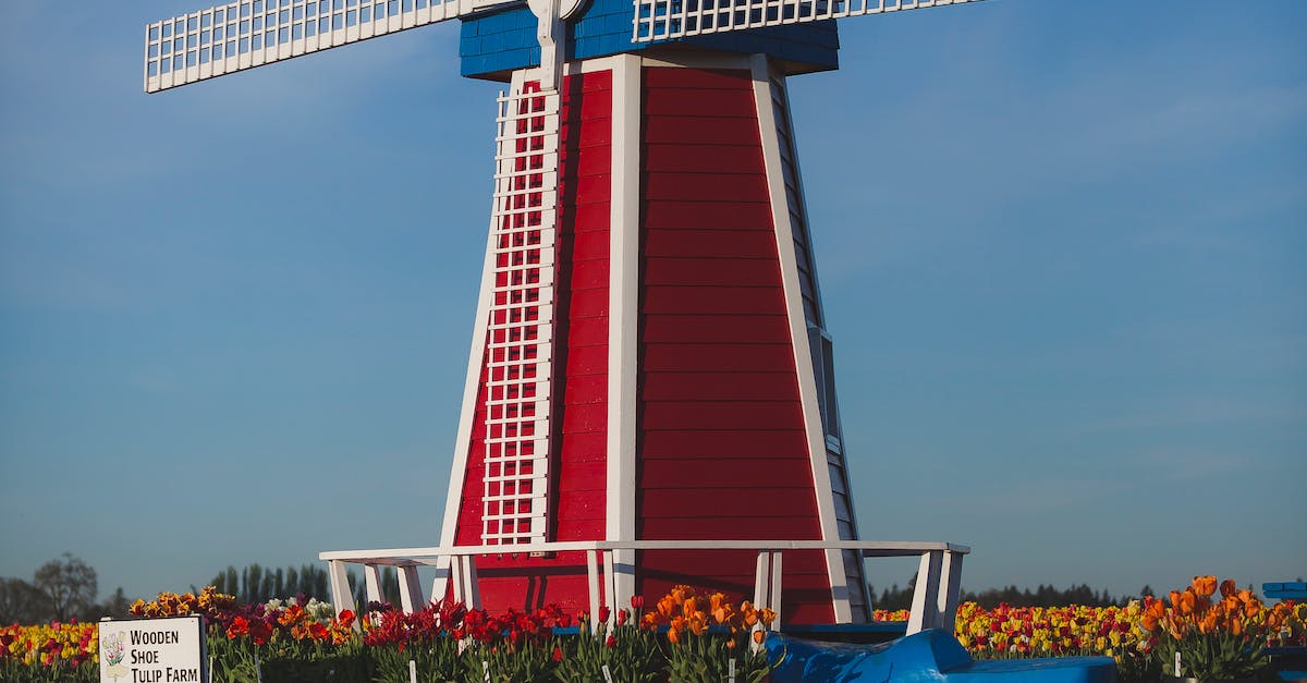 De voordelen van windenergie en hoe windmolens werken